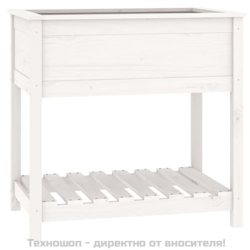 Плантер с рафт, бяла, 82,5x54x81 см, борово дърво масив