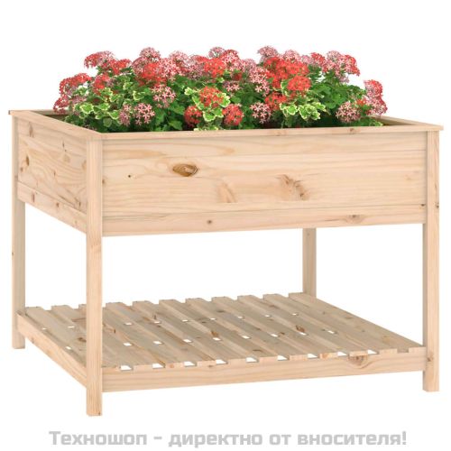 Плантер с рафт, 111,5x111,5x81 см, борово дърво масив