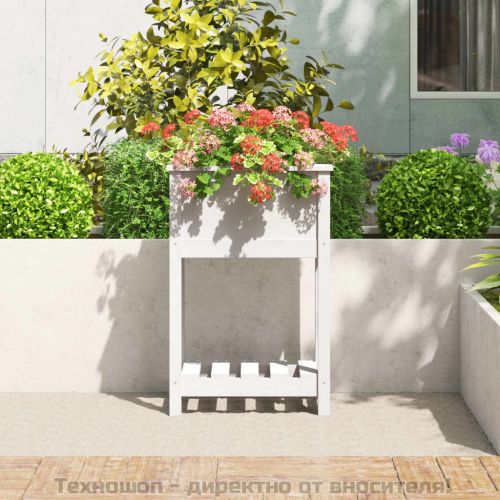 Плантер с рафт, бяла, 54x34,5x81 см, борово дърво масив