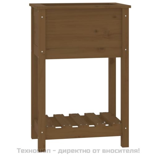 Плантер с рафт, меденокафяв, 54x34,5x81 см, борово дърво масив