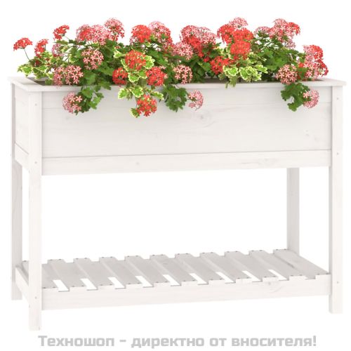 Плантер с рафт, бяла, 111,5x54x81 см, борово дърво масив