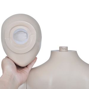 Манекен, дамски силует, кръгла глава