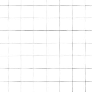 Кокошкарска мрежа, поцинкована стомана, 10x0,5 м, сребриста