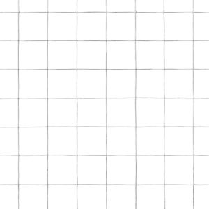 Кокошкарска мрежа, поцинкована стомана, 25x0,5 м, сребриста