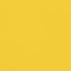 Ремарке за велосипед, черно и жълто, 45 кг, желязо