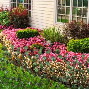 Върбови огради хармоника, 5 бр, с изкуствени листа, 180x90 см