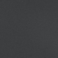 Прибираща се странична тента, черна, 100x600 см