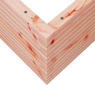 Градинска кашпа, 50x50x45,5 см, масивна дугласка дървесина