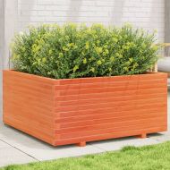 Градинска кашпа, восъчнокафяв 100x100x49,5см борово дърво масив
