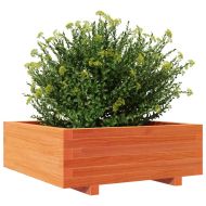 Градинска кашпа, восъчнокафява, 70x70x26,5 см, бор масив