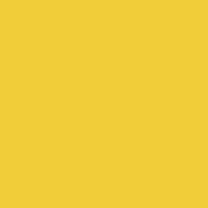 Ремарке за велосипед, черно и жълто, 30 кг, желязо