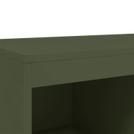 Висок шкаф, маслиненозелен, 68x39x111,5 см, стомана
