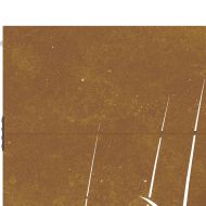 Градинска порта 85x200 см, дизайн с кортен стомана и трева