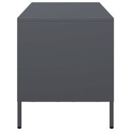 ТВ шкаф, антрацит, 101,5x39x43,5 см, студеновалцувана стомана