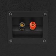 Професионални пасивни Hifi сценични тонколони 2 бр 800 W черни