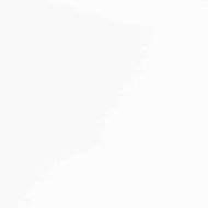 трапезни столове 2 бр. бяла масивна дървесина гума