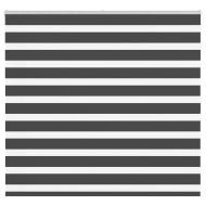 Зеброва щора 155x100 см Ширина на плата 150,9 см полиестер