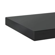 Стенни рафтове 2 бр 100x23,5 см черни неръждаема стомана