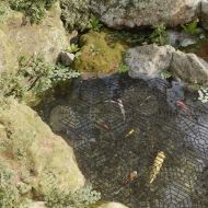 Протектори за дворни езера, 40 бр, черно, полипропилен