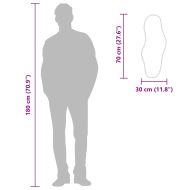 Стенно огледало черно 70x30 см