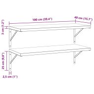 Стенни рафтове 2 бр 100x40 см черни неръждаема стомана