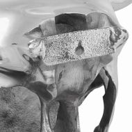 Биков череп Сребрист 34 x 13 x 53 см Алуминий