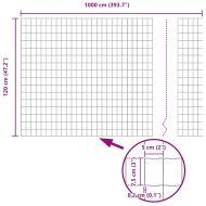 Европейска ограда 1,2 x 10 m Желязо с PVC покритие