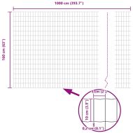 Европейска ограда 1,6 x 10 m Желязо с PVC покритие