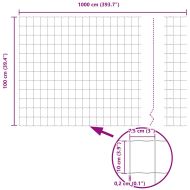 Европейска ограда 1 x 10 m Желязо с PVC покритие