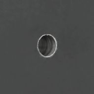 Четки за говеда Черен и бял 50 x 10 x 6.5 см