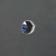 Четки за говеда Червен и син 50 x 10 x 6.5 см