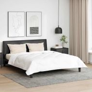 Възглавница с възглавница Бяло Памук и полиестер