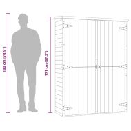 Градинска барака за инструменти, 163x50x171 см, импрегниран бор