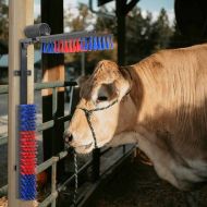 Четки за говеда Регулирума Червен и син 84 x 10 x 91 см ПВЦ