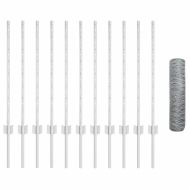 Ограда с пост Сребрист 0,8 x 25 m Стомана