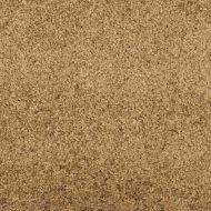 Мат за врата Друг Кремав и черен 120 x 400 cm Полиамид и PVC