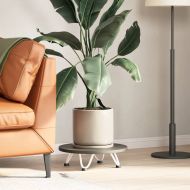 Крака тип „фиби“ за масичка за кафе, 4 бр., бели, 10 см, масивна стомана