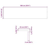Стълбищни стъпала, 20 бр, светлокафяви, 100x25x2 см, дъб масив