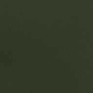 Бистро маса Тъмен зелен 55 x 55 x 72,5 см