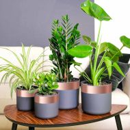 Медна лента 6 pcs Мед 2000 x 7 см Мед