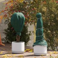 Флийс за защита на растения от замръзване Зелен 20 x 1,6 м