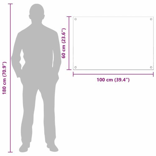 Кухненски гръб 2 pcs Прозрачен 100 x 60 cm закалено стъкло