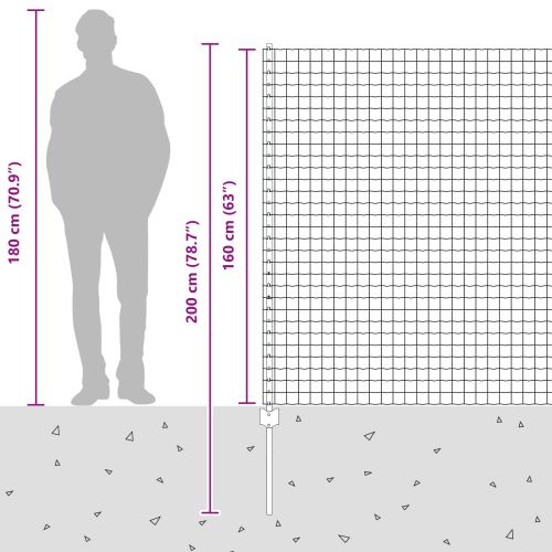 Ограда с пост Сребрист