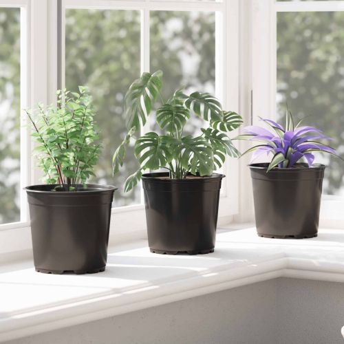 Цветна саксия 50 pcs Черно Ø 15 x 13 см Пластмаса