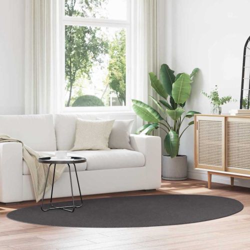 Килими за помещение HUARTE Антрацит 160 x 230 cm Полиестер