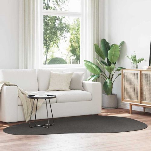 Килими за помещение HUARTE Антрацит 160 x 230 cm Полиестер