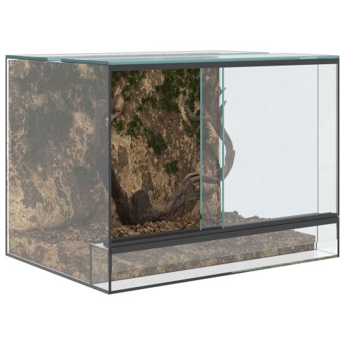 Терариум със съхранение Прозрачен 40 x 30 x 30 см Стъкло