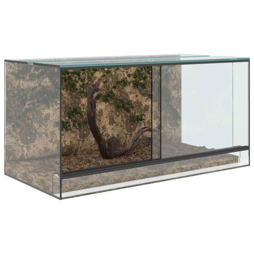 Терариум със съхранение Прозрачен 80 x 40 x 40 cm Стъкло