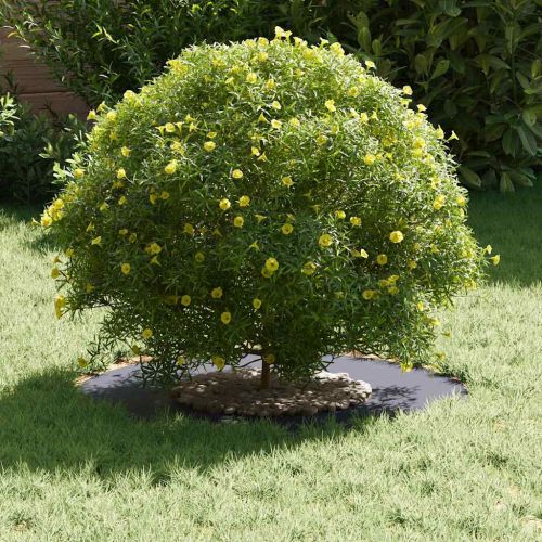 подходяща за плоски дървени халки Антрацит Ø30 / 60 см Стомана