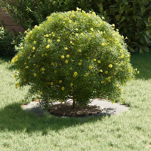 подходяща за плоски дървени халки 5 pcs Сребрист Ø30 / 60 см